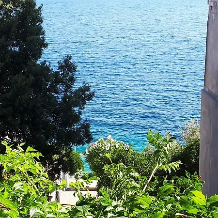Apartment With Sea View Prigradica Zewnętrze zdjęcie